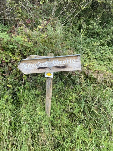 Zur Nellenburg und Ausblick Seeschau