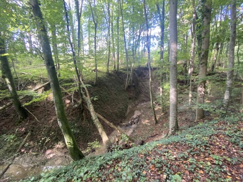 Zur Nellenburg und Ausblick Seeschau
