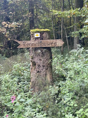 Zur Nellenburg und Ausblick Seeschau
