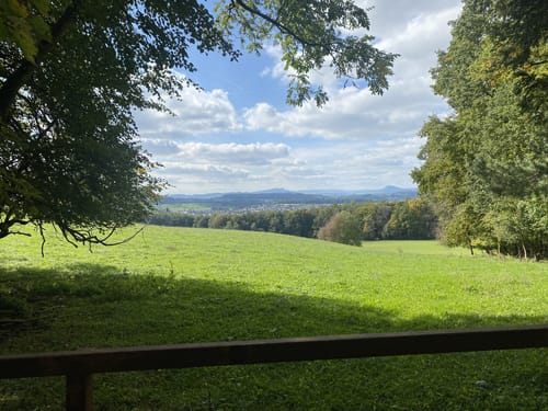 Zur Nellenburg und Ausblick Seeschau