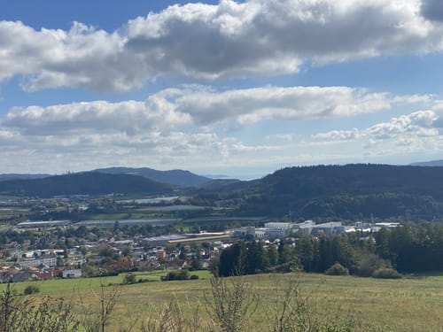 Zur Nellenburg und Ausblick Seeschau