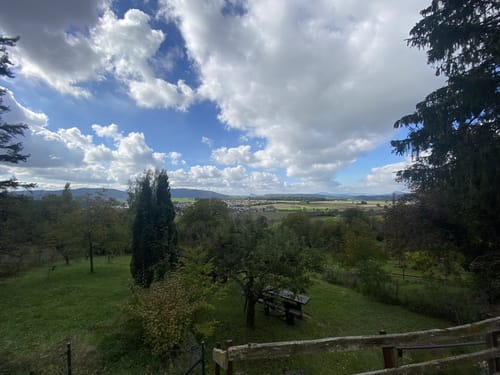 Zur Nellenburg und Ausblick Seeschau