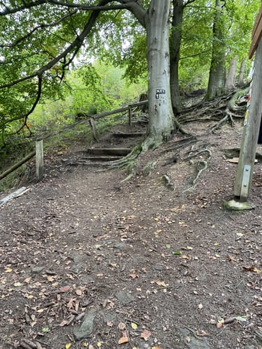 Bad Nenndorf - Steinbrink Runde