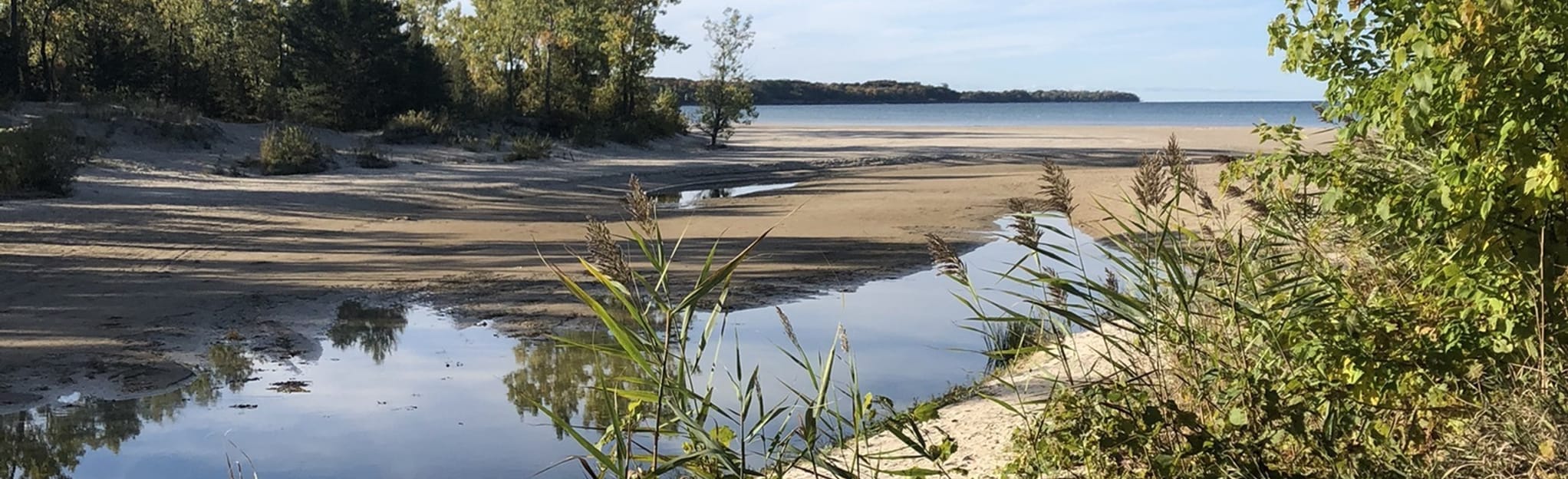 Sandbanks Beach, Ontario, Canada 59 Reviews, Map AllTrails