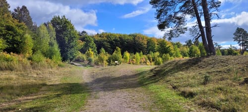 Kleine Waldrunde am Schlangenberg