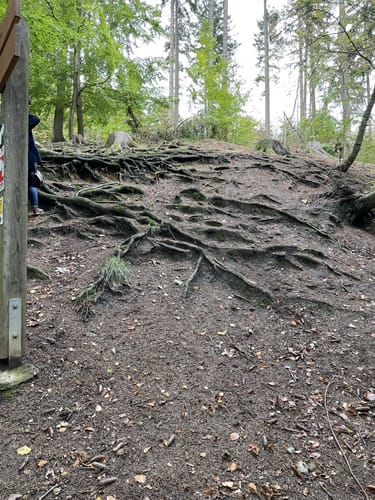 Bad Nenndorf - Steinbrink Runde