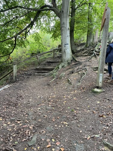 Bad Nenndorf - Steinbrink Runde