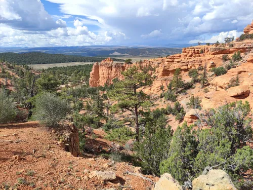 Best hikes in 2025 dixie national forest