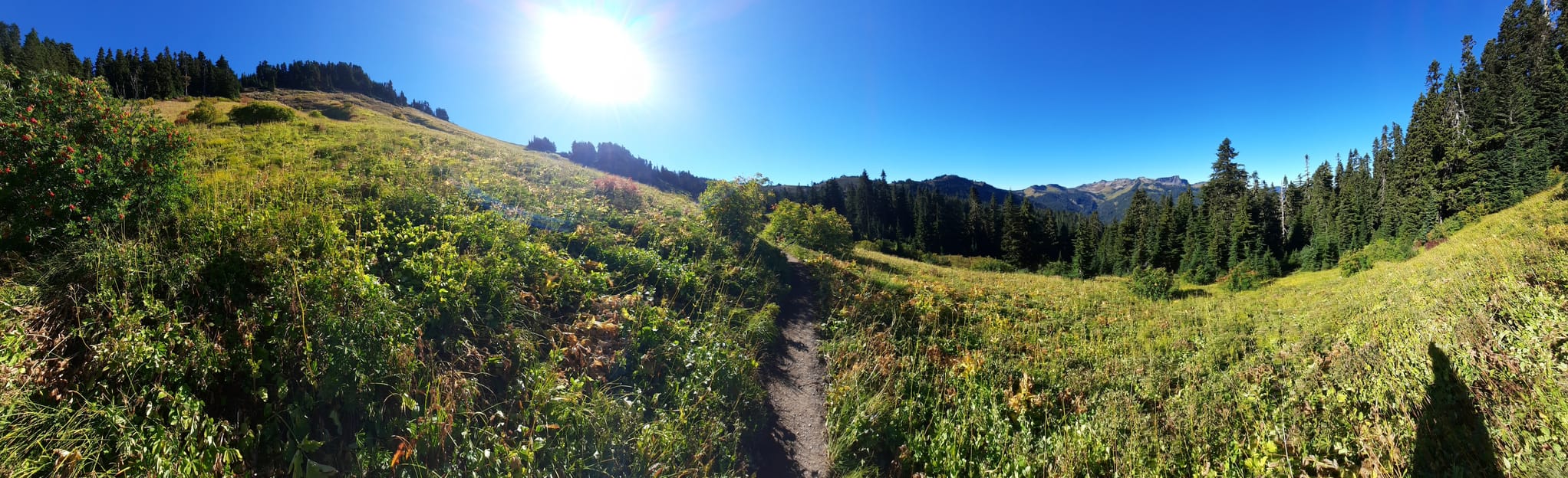 Damfino Lakes Trail to Excelsior Peak, Washington 276 Reviews, Map