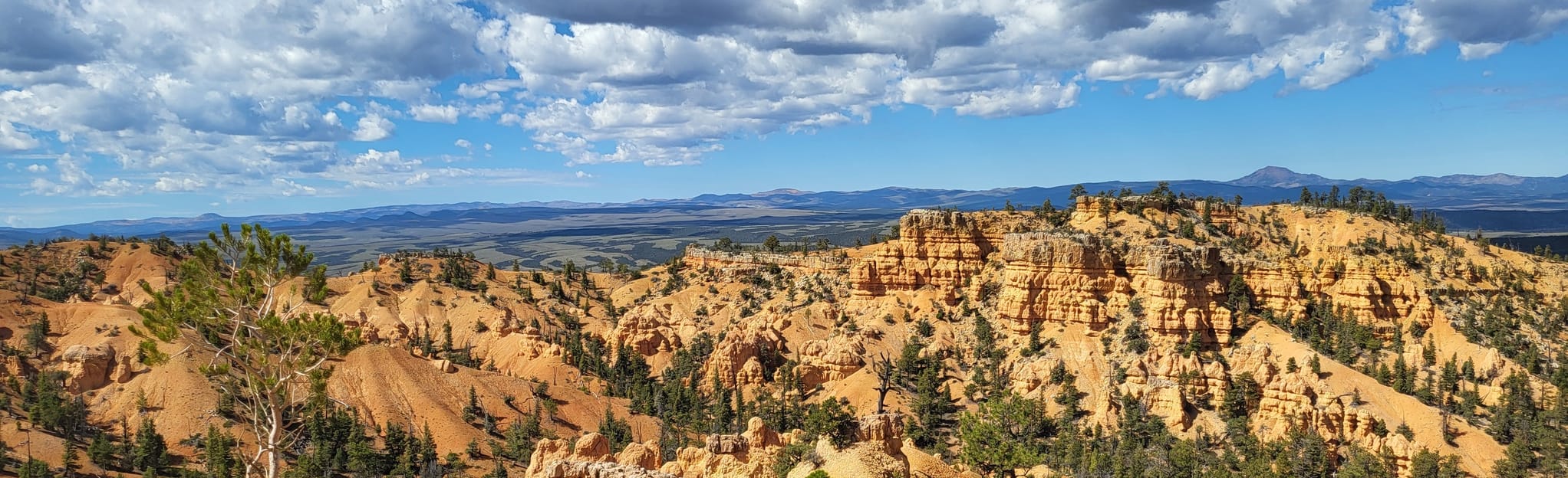 Birdseye, Pink Ledges, and Golden Wall Trails, Utah 153 Reviews, Map