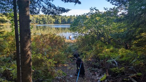 Best Hikes And Trails In Kehl Lake Natural Area 