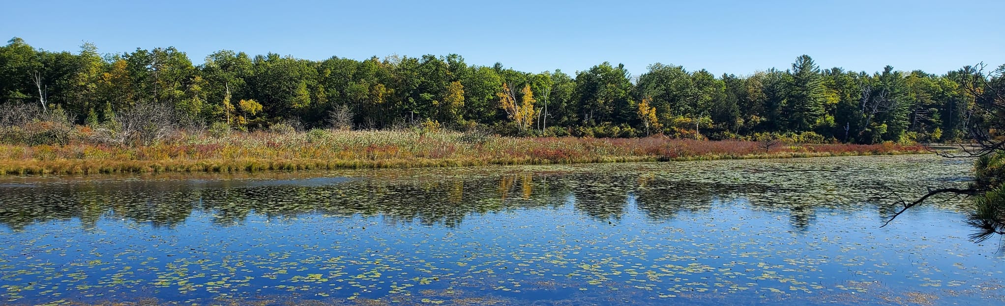 Cedar Trail 292 foto's Ontario, Canada AllTrails