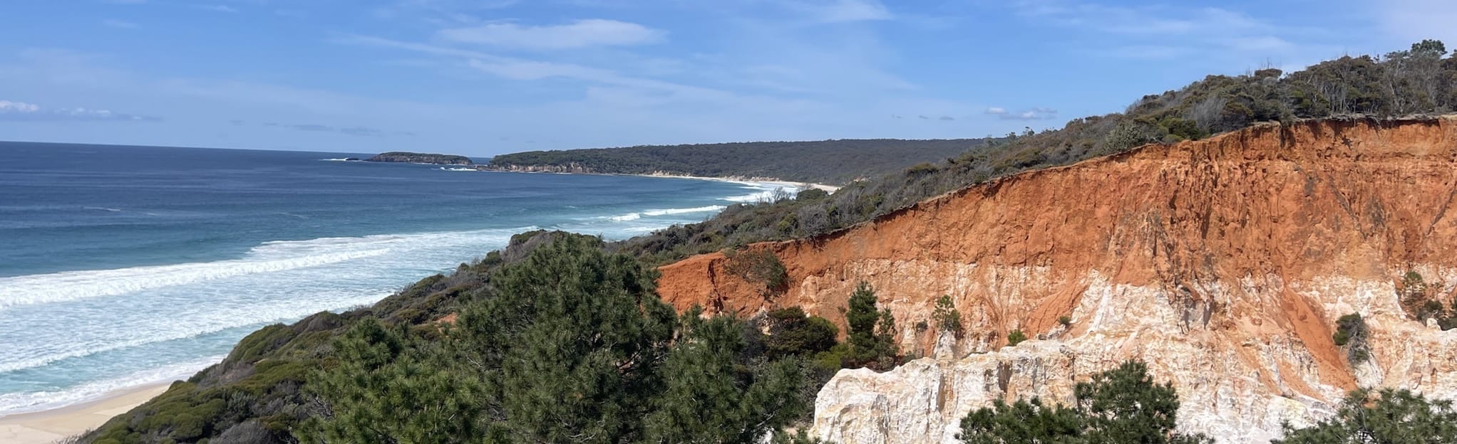 Pinnacles Loop Walking Track: 61 Reviews, Map - New South Wales ...