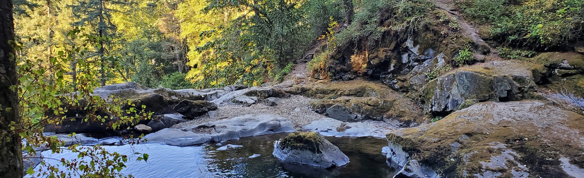 AllTrails Little Mashel Falls via Little Mashel Falls Trail 317