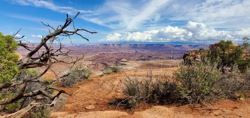 10 Best Hikes and Trails in Canyonlands National Park AllTrails