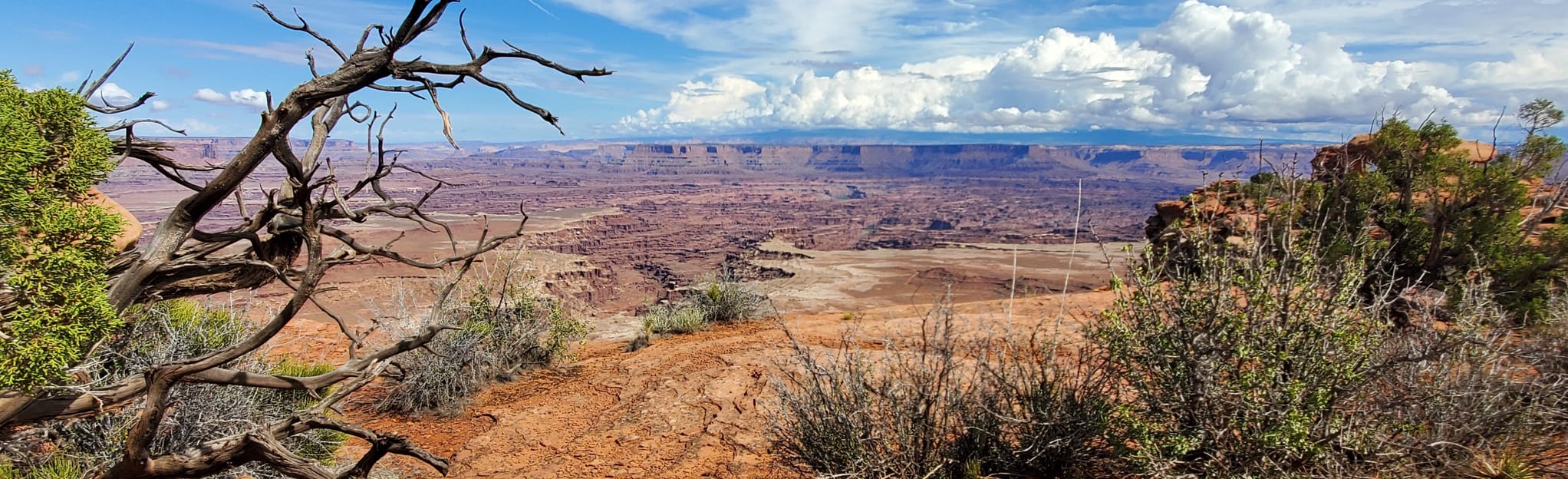 White Rim Overlook Trail, Utah - 2,001 Reviews, Map | AllTrails