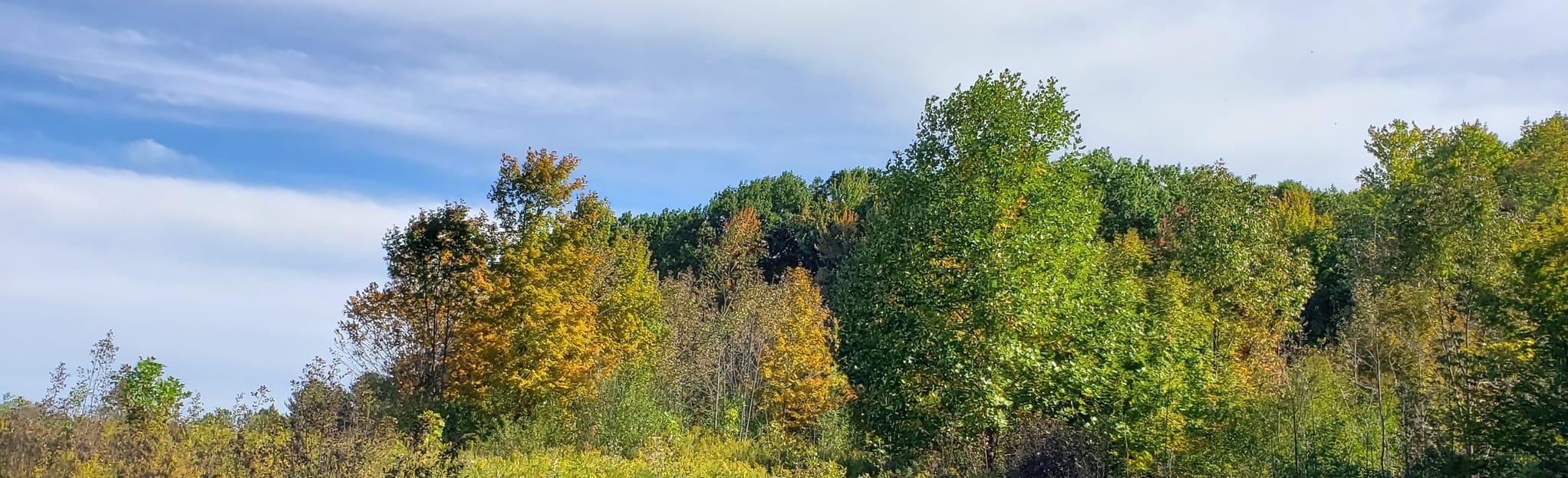 Gray Fox Trail and Wagon Trail Loop, Ohio 63 Reviews, Map AllTrails