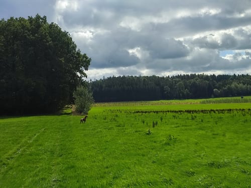 Wandern in Postbauer-Heng: Keltenrunde