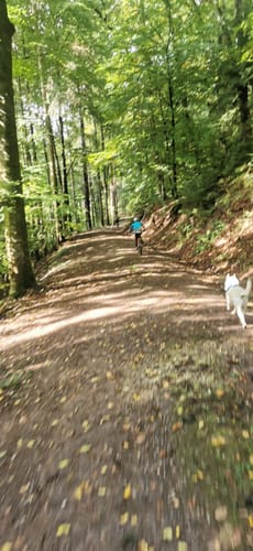 MTB-Tour im Breisgau