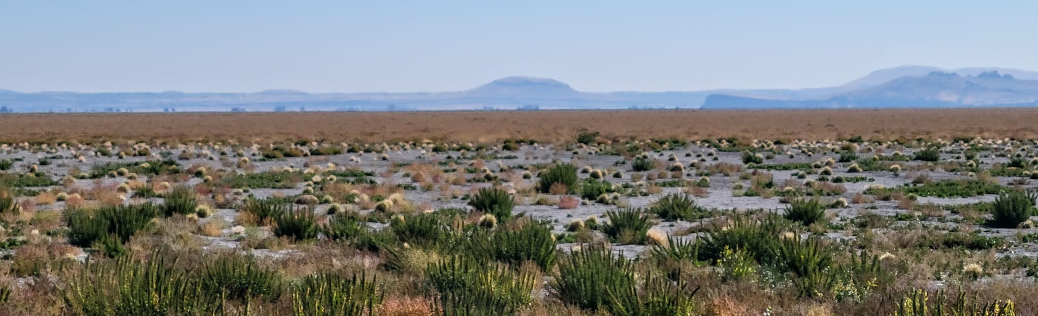 Tule Lake Photo Blind Trail, California 4 Reviews, Map AllTrails