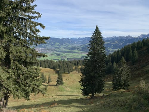 Rangiswanger Horn