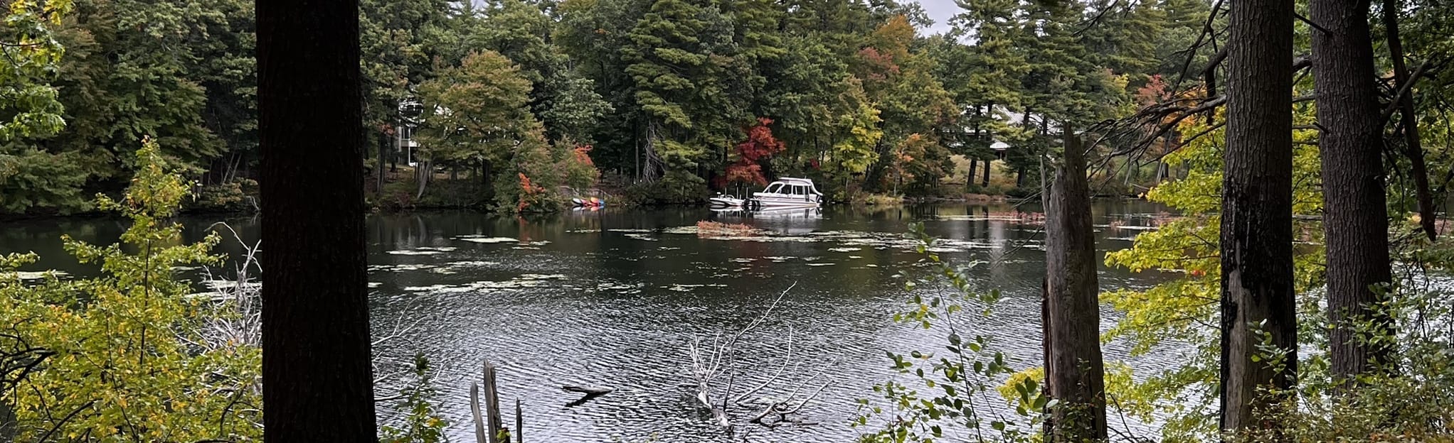 Hallock Point Conservation Area Trail 2 Reviews, Map Massachusetts AllTrails