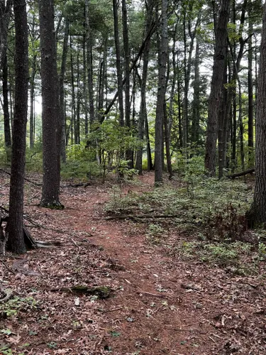 Best Hikes and Trails in Hallock Point Conservation Area | AllTrails