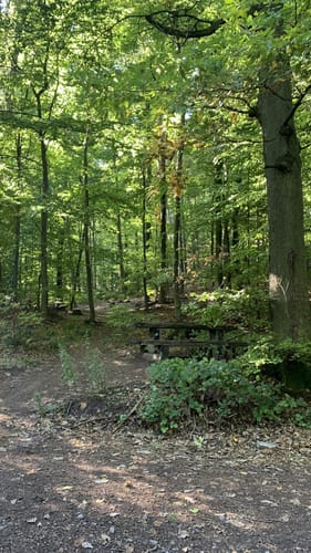 Pälzer Keschdeweg Etappe 2: Annweiler - Albersweiler