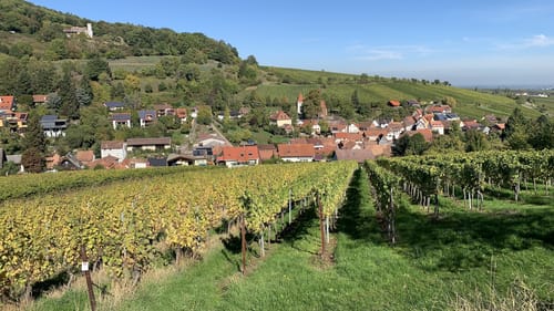 Pälzer Keschdeweg Etappe 2: Annweiler - Albersweiler