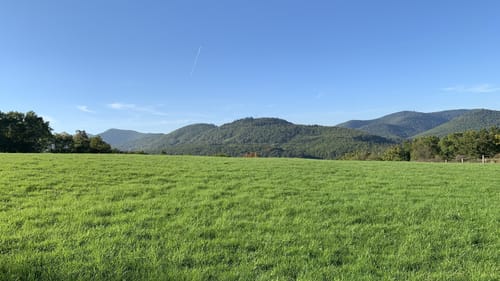 Pälzer Keschdeweg Etappe 2: Annweiler - Albersweiler