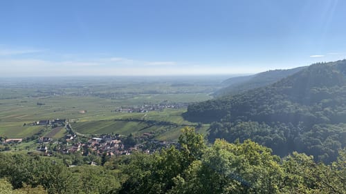 Pälzer Keschdeweg Etappe 2: Annweiler - Albersweiler