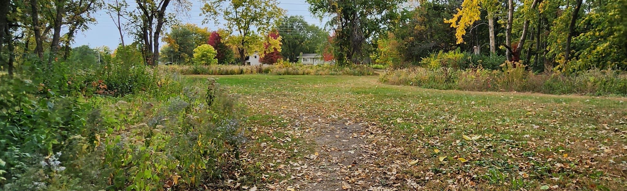 Minnesota River Bottoms Singletrack Trail, Minnesota 202 Reviews, Map AllTrails