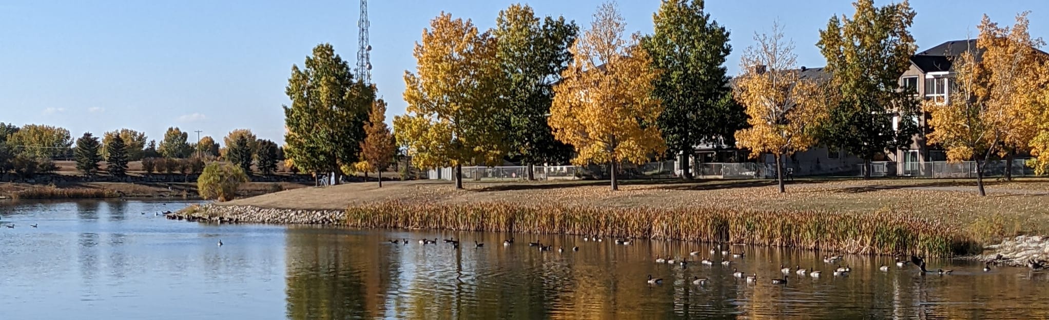 Sunshine and Emerson Lakes, Alberta, Canada 21 Reviews, Map AllTrails