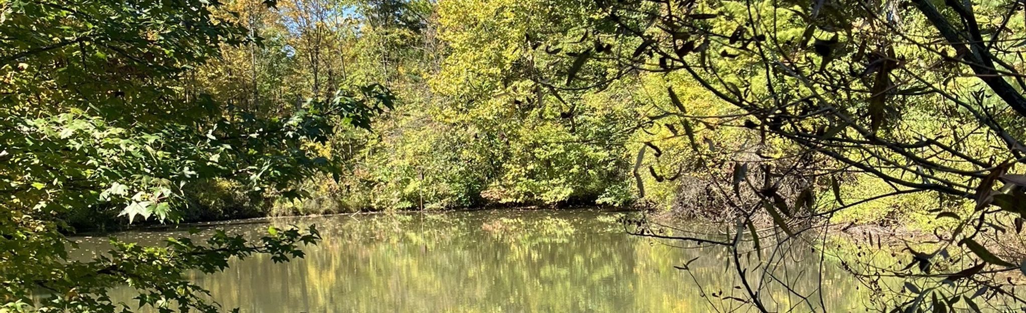 Boehnke Nature Preserve Loop 32 Reviews, Map Ohio AllTrails