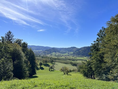 Reichenbach - Brandeckkopf