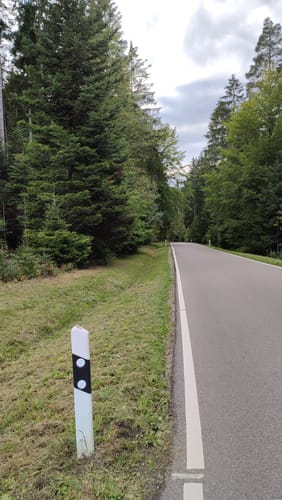 Rundweg Tanne (grün)