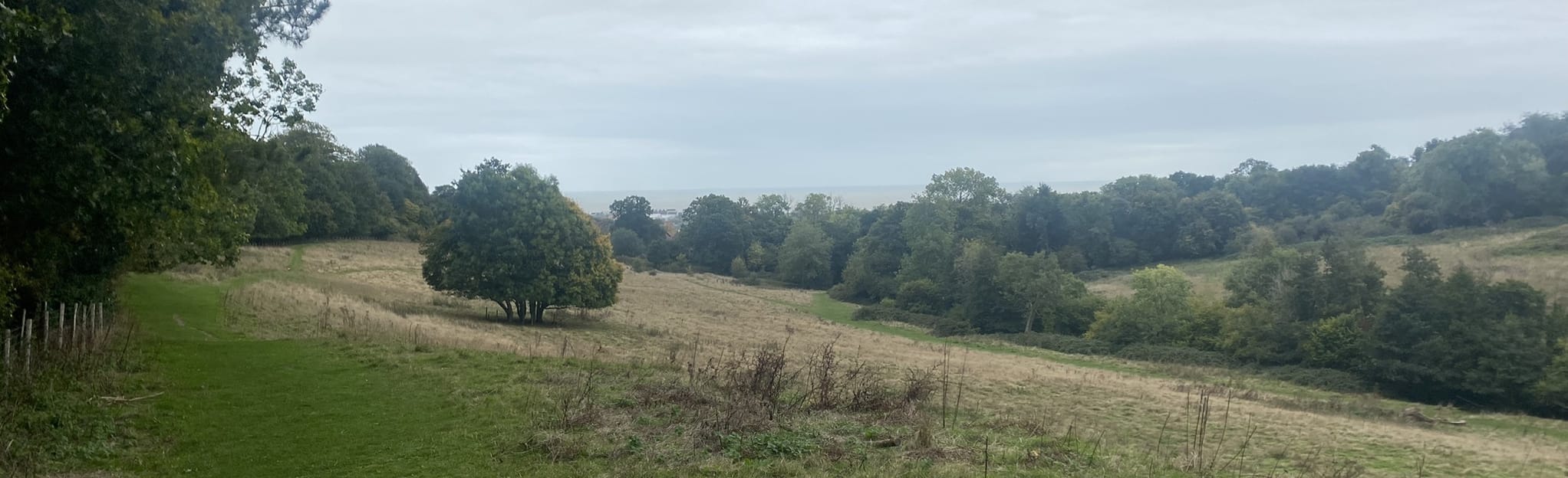 Brockhill Country Park 37 Fotos Kent, England AllTrails