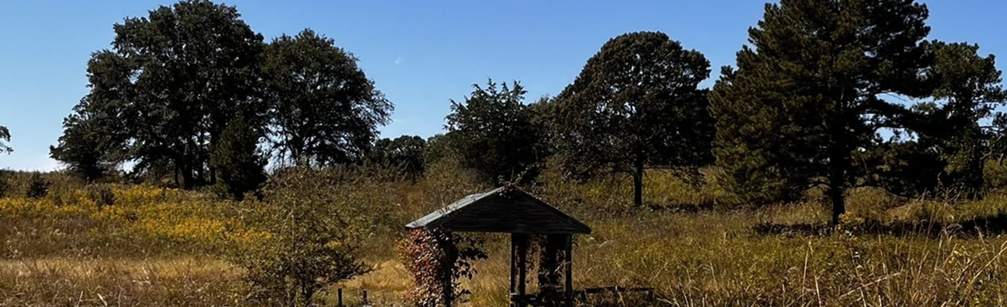Bald Rock Meadows Blue Trail Map, Guide AllTrails