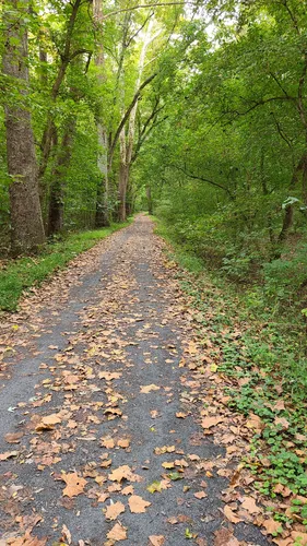 Best Backpacking Trails in Chesapeake - EyJidWNrZXQiOiJhc3NldHMuYWxsdHJhaWxzLmNvbSIsImtleSI6InVwbG9hZHMvcGhvdG8vaW1hZ2UvNTI3OTMyNTMvOWI1NjMzM2NkNWZkMjNhOGQzMTRlZmNhMGYwZjEwNTguanBnIiwiZWRpdHMiOnsidG9Gb3JtYXQiOiJ3ZWJwIiwicmVzaXplIjp7IndpZHRoIjo1MDAsImhlaWdodCI6NTAwLCJmaXQiOiJpbnNpZGUifSwicm90YXRlIjpudWxsLCJqcGVnIjp7InRyZWxsaXNRdWFudGlzYXRpb24iOnRydWUsIm92ZXJzaG9vdERlcmluZ2luZyI6dHJ1ZSwib3B0aW1pc2VTY2FucyI6dHJ1ZSwicXVhbnRpc2F0aW9uVGFibGUiOjN9fX0=