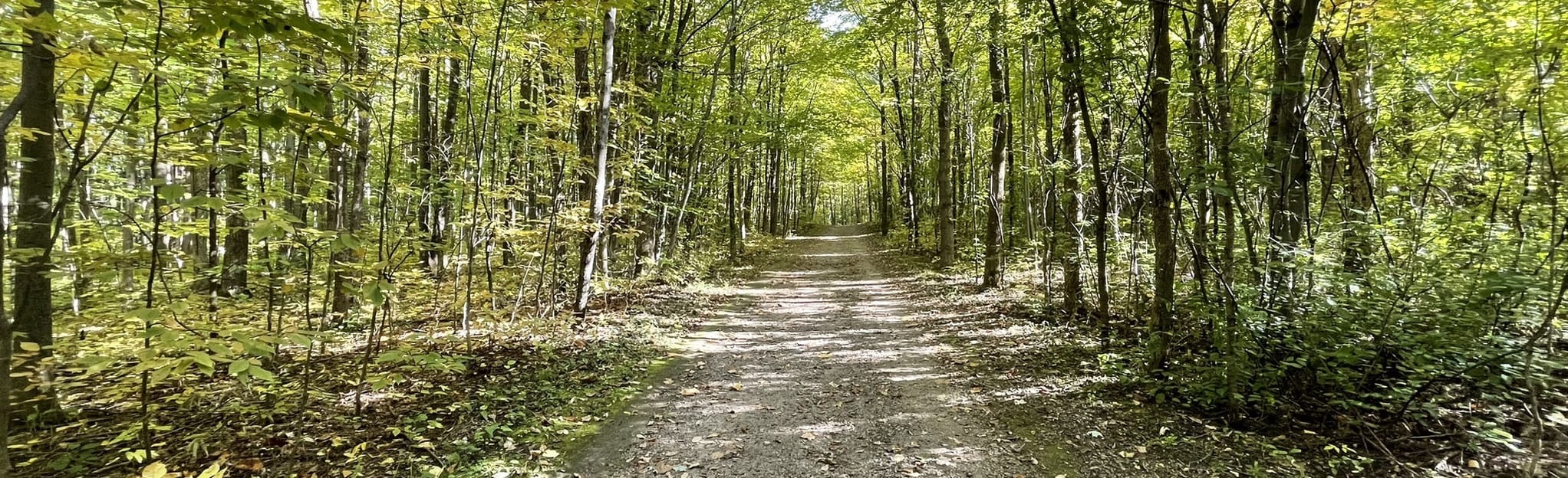 Loop 159 Fotos Québec, Kanada AllTrails