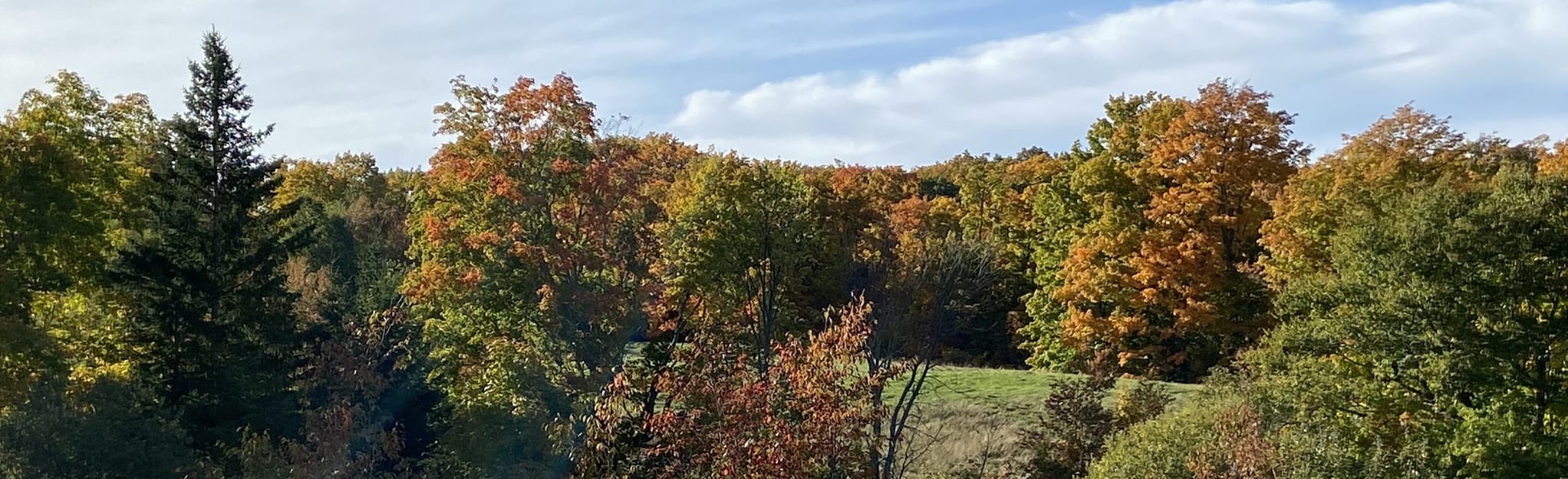 Mapleton Acadian Forest Nature Preserve 90 Reviews, Map New