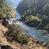 Historic Rogue River Trail offers challenging hike - Oregonforests