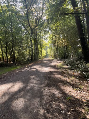 Köln Königsforst Runde