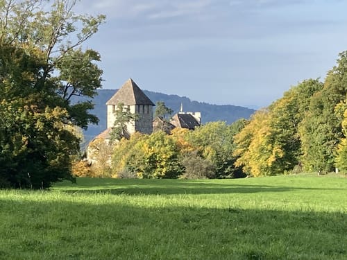 Burg Hohenklingen - Öhningen - Stein am Rhein