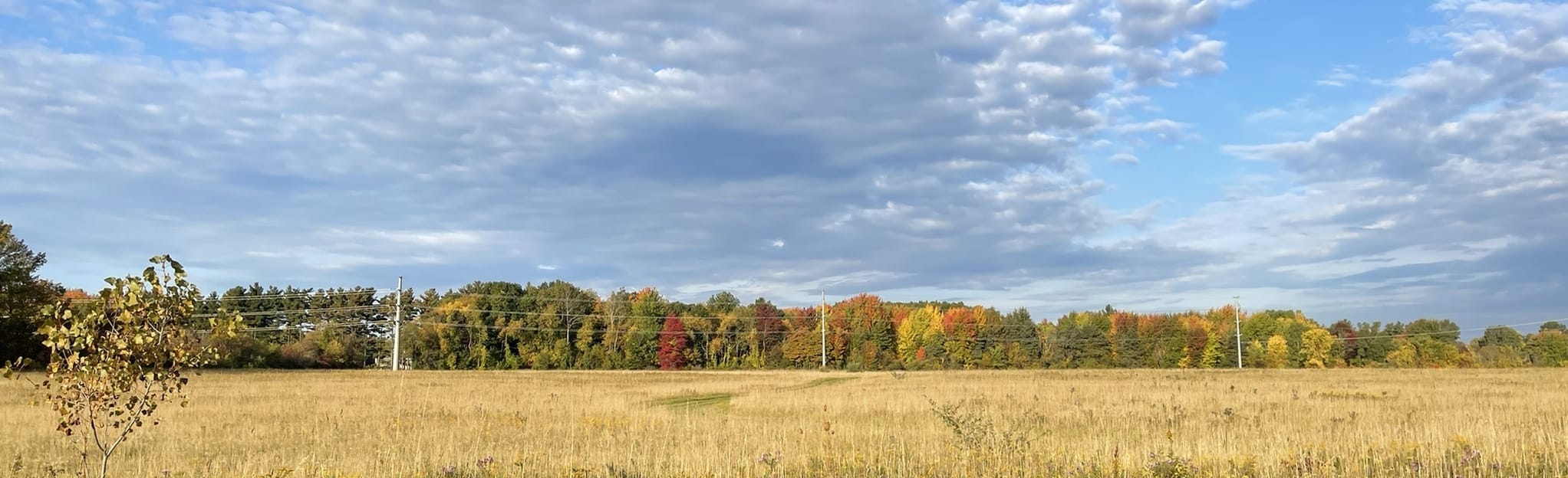 helder-park-perimeter-trail-michigan-43-reviews-map-alltrails