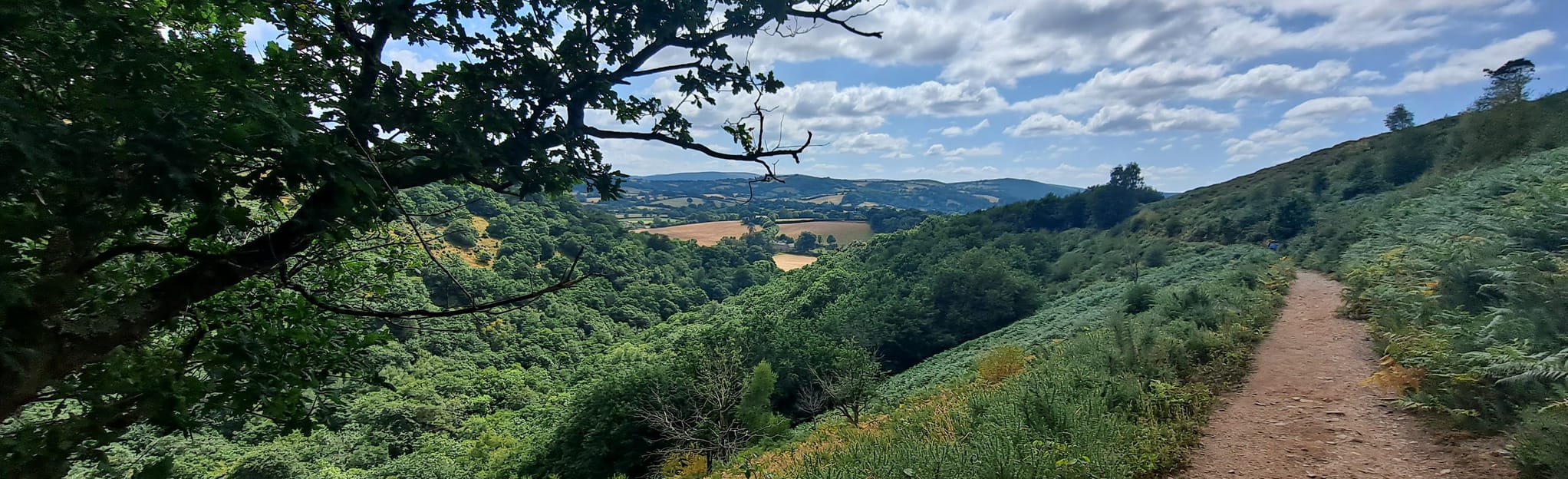 Castle Drogo and Cod Wood Circular, Devon, England - 215 Reviews, Map ...