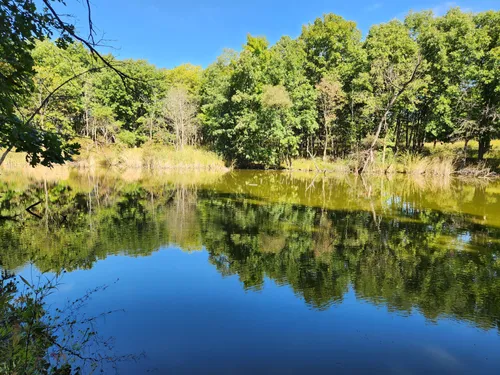 Best Hikes and Trails in Hickory Creek Preserve | AllTrails