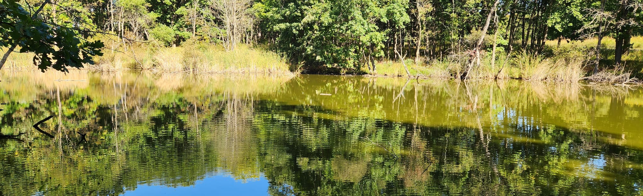 Hickory Creek Bikeway Trail, Illinois - 323 Reviews, Map | AllTrails