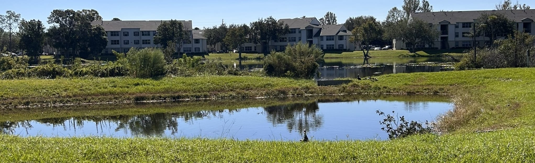 Cross Seminole Trail East Section - EyJidWNrZXQiOiJhc3NldHMuYWxsdHJhaWxzLmNvbSIsImtleSI6InVwbG9hZHMvcGhvdG8vaW1hZ2UvNTI4MTg4ODcvM2RjMzI1YTMyNWMyMTVkNWUwOWRiMDhlMDgxM2E0MjMuanBnIiwiZWRpdHMiOnsidG9Gb3JtYXQiOiJqcGVnIiwicmVzaXplIjp7IndpZHRoIjoyMDQ0LCJoZWlnaHQiOjYyNCwiZml0IjoiY292ZXIifSwicm90YXRlIjpudWxsLCJqcGVnIjp7InRyZWxsaXNRdWFudGlzYXRpb24iOnRydWUsIm92ZXJzaG9vdERlcmluZ2luZyI6dHJ1ZSwib3B0aW1pc2VTY2FucyI6dHJ1ZSwicXVhbnRpc2F0aW9uVGFibGUiOjN9fX0=