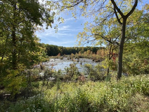 Best Wild Flowers Trails In West Bloomfield Alltrails